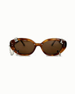 DELPHINUS (CARAMEL)