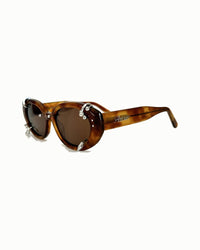 DELPHINUS (CARAMEL)
